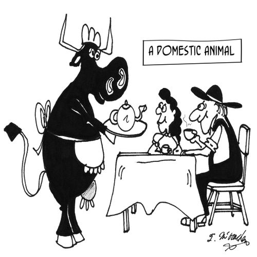 A Domestic Animal