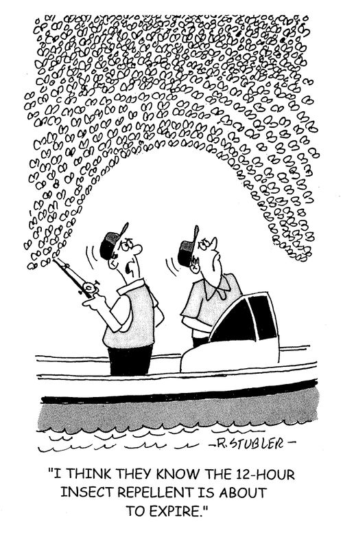 'I think they know the 12-hour insect repellent is about to expire.'