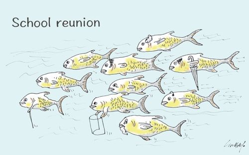 School reunion