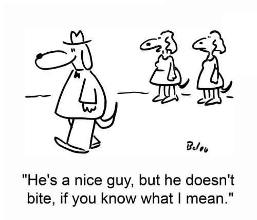'He's a nice guy, but he doesn't bite, if you know what I mean.'