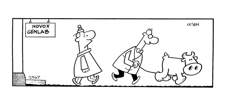 Outside the Novox Genlab, a man is walking a cow.