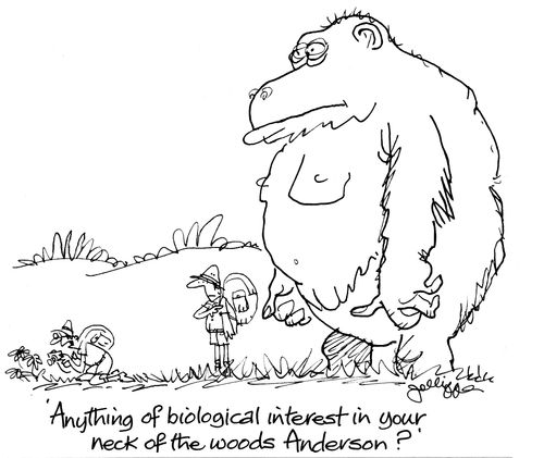 'Anything of biological interest in your neck of the woods, Anderson?'