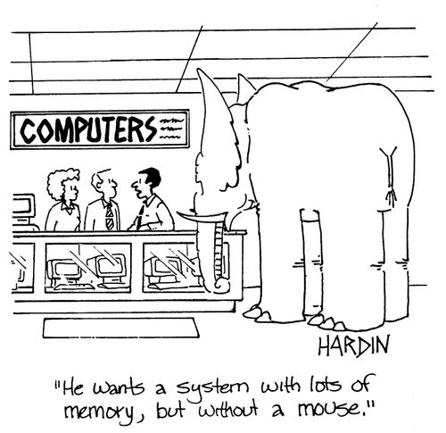 'He wants a system wth lots of memory, but without a mouse.'