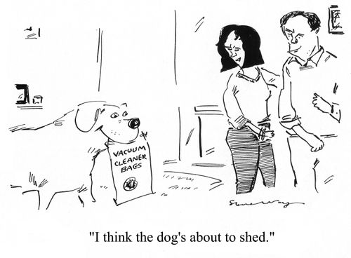 'I think the dog's about to shed.'