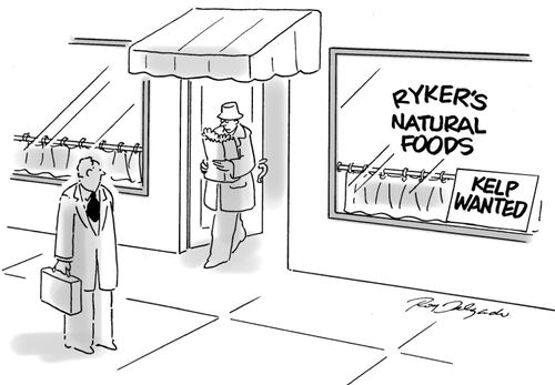 'Ryker's Natural Foods - Kelp wanted'