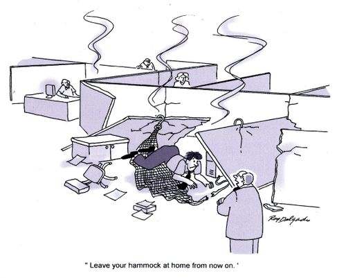 'Leave your hammock at home from now on.'