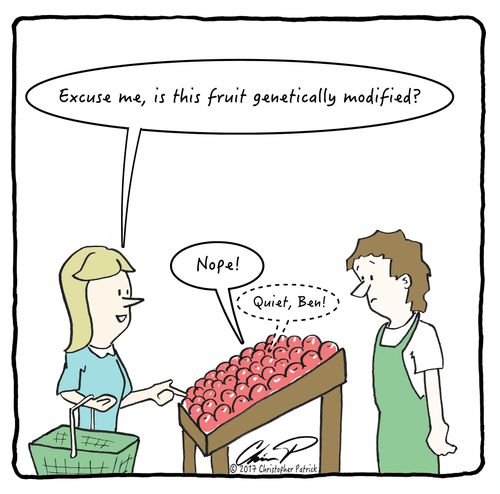 "Excuse me, is this fruit genetically modified?"