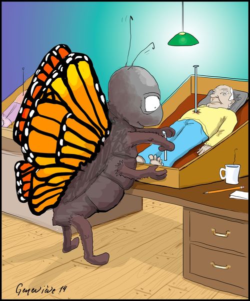 The Butterfly Collector