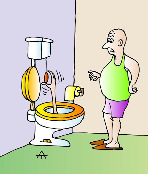 Flushing The Toilet