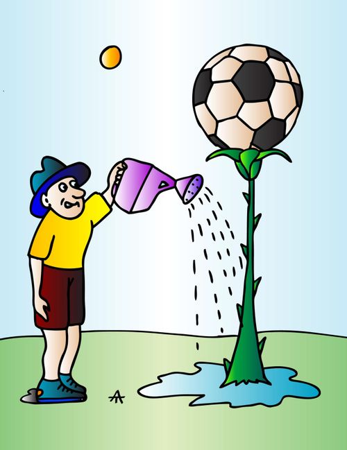 Football Fan