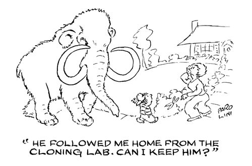 'He followed me home from the cloning lab. Can I keep him?'