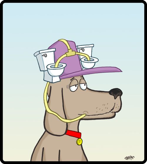 Dog with toilet drink hat.
