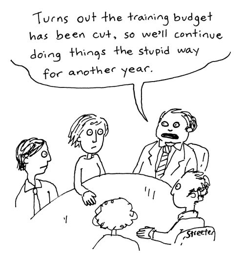 "Turns out the training budget has been cut, so we'll continue doing things the stupid way for another year."