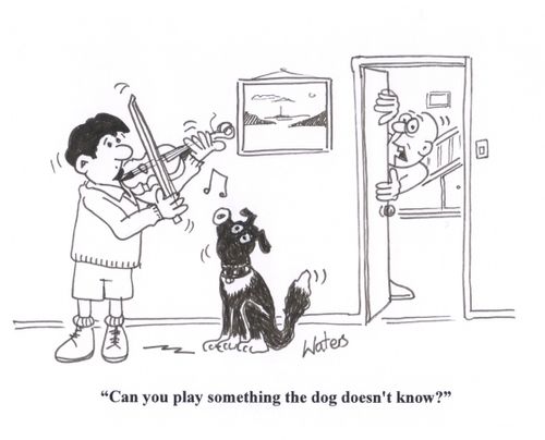 'Can you play something the dog doesn't know?'