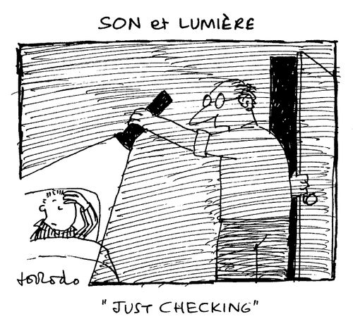 Son et lumiere - "Just checking..."