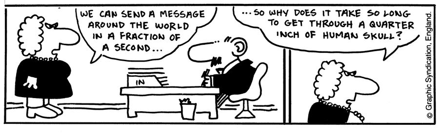 'We can send a message around the world in a fraction of a second so why does it take so long to get through a quarter inch of human skull?'