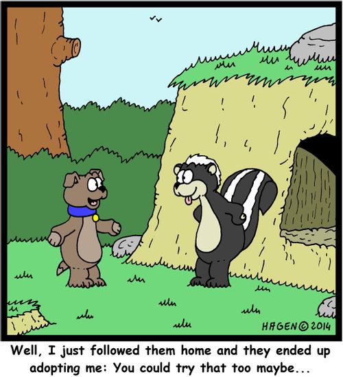 'Well, I just followed them home and they ended up adopting me: You could try that too maybe..'.