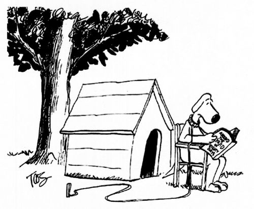 Around the Dogbox in 80 Days.