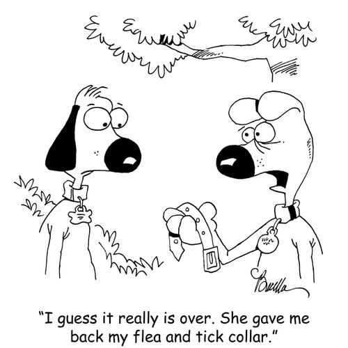 "I guess it really is over. She gave me back my flea and tick collar."