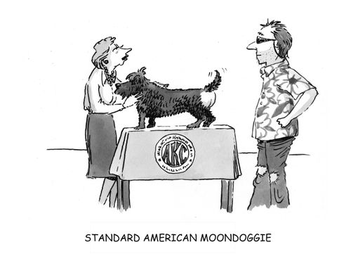 'STANDARD AMERICAN MOONDOGGIE'