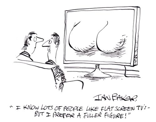 'I know lots of people like flat screen TV's - But I prefer a fuller figure!'