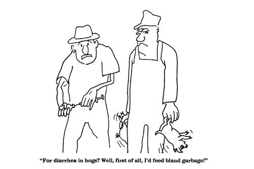 'For Diahrrea in hogs?  Well, first of all, I'd feed bland garbage!'