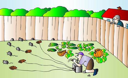 Gardener trying to protect his crops from pests.