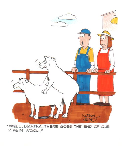 'Well, Martha, there goes the end of our virgin wool.'