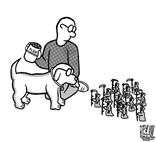 Impending flea powder usage on a dog causes many tiny angels of death to stand ready.