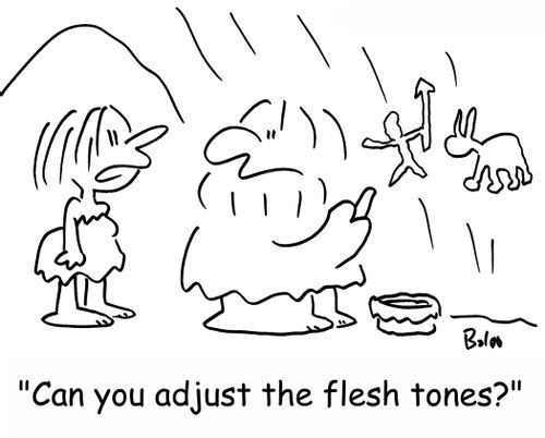 'Can you adjust the flesh tones?'