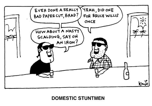 Domestic Stuntmen