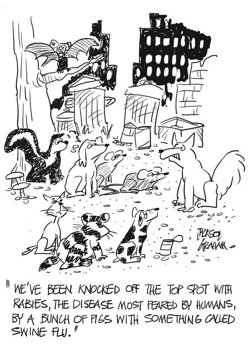 "We've been knocked off the top spot with rabies...by a bunch of pigs with swine flu."