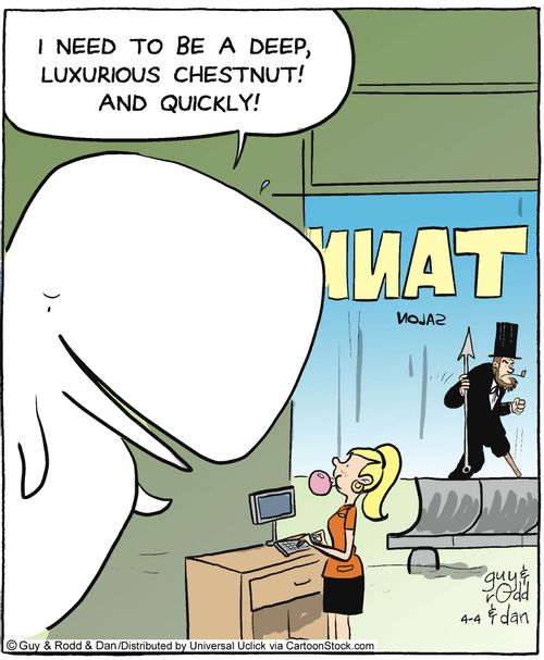 'I need to be a deep, luxurious chestnut! And quickly!'
