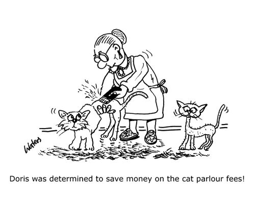 Doris was determined to save money on cat parlour fees!