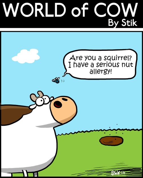 'Are you a squirrel? I have a serious nut allergy!'