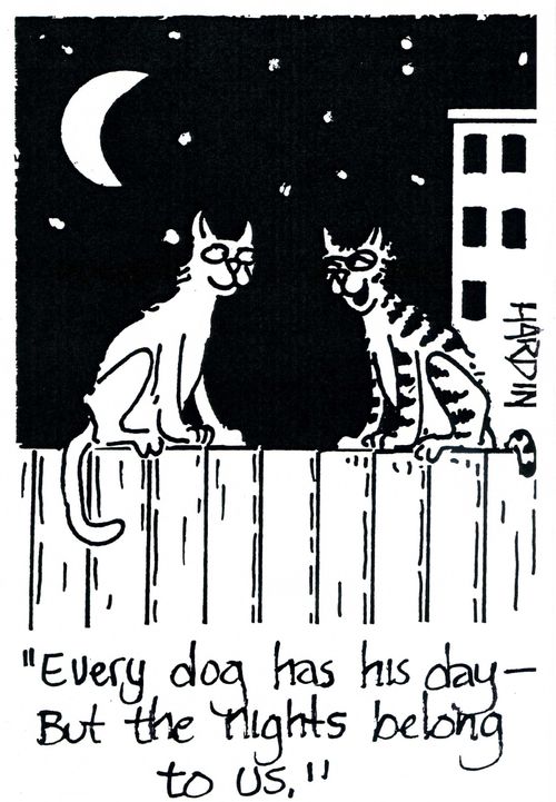 'Every dog has his day - But the nights belong to us.'