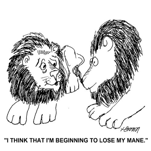 'I think that I'm beginning to lose my mane.'