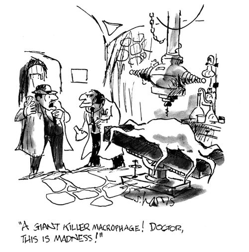 'A giant killer macrophage!  Doctor, this is madness!'