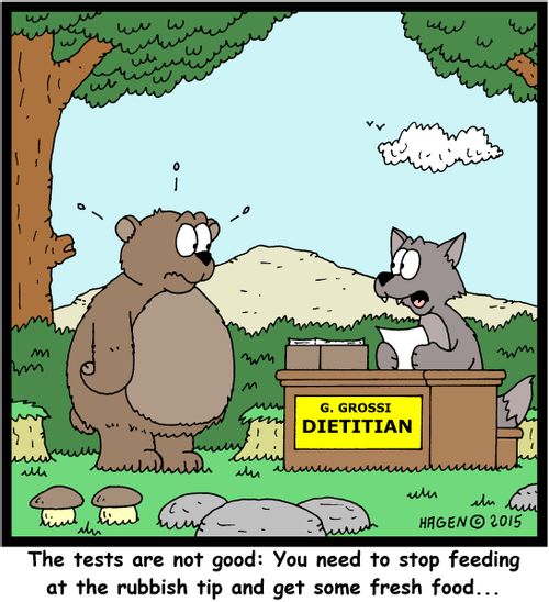 "The tests are not good: You need to stop feeding at the rubbish tip and get some fresh food..."