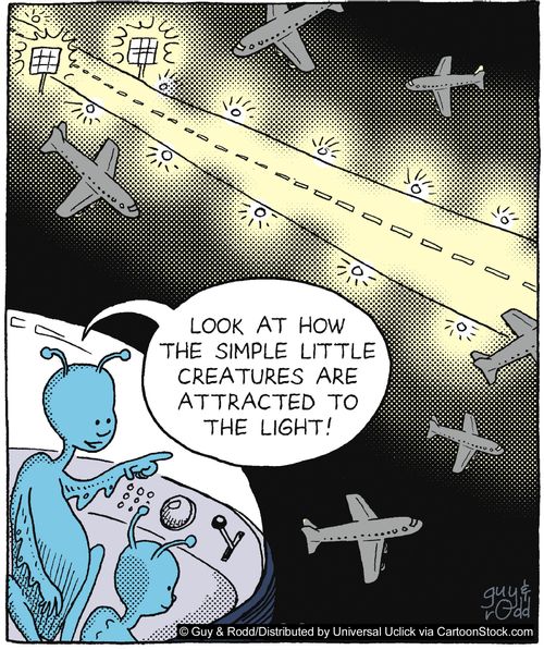 'Look at how the simple little creatures are attracted to the light!'