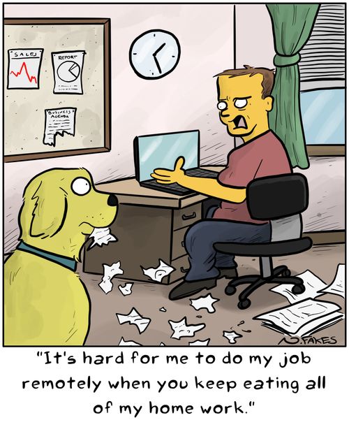 "It's hard for me to do my job remotely when you keep eating all of my home work."