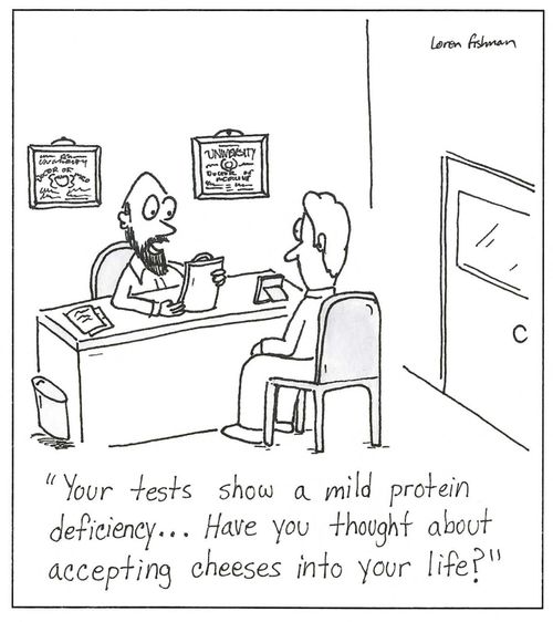 'Your tests show a mild protein deficiency...Have you thought about accepting cheeses into your life?'