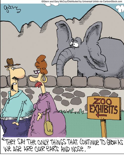 'They say the only things that continue to grow as we age are our ears and nose.'