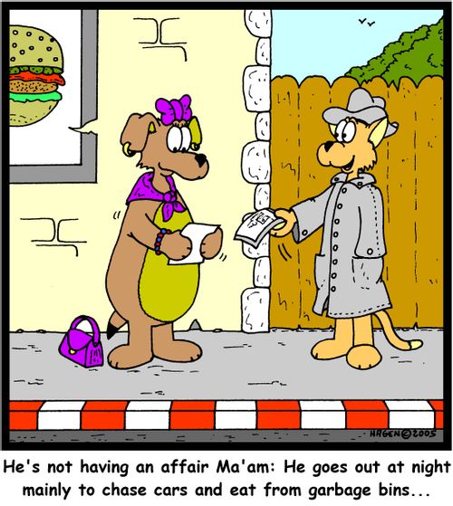 'He's not having an affair Ma'am: He goes out at night mainly to chase cars and eat from garbage bins...'