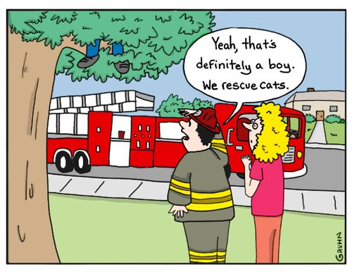 "Yeah, that's definitely a boy. We rescue cats."