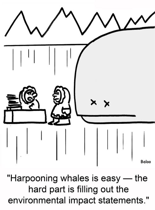 'Harpooning whales is easy â€ the hard part is filling out the environmental impact statements.