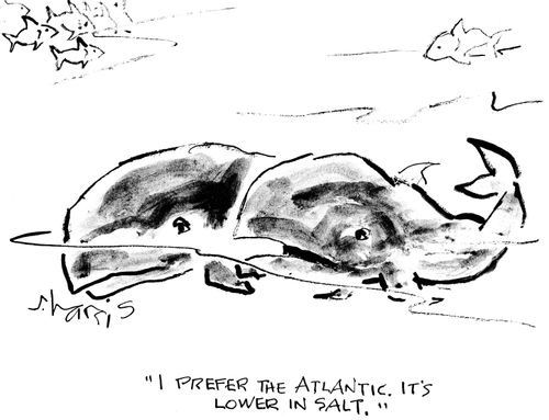 "I prefer the Atlantic. It's lower in salt."