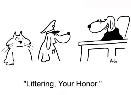 'Littering, Your Honor.'