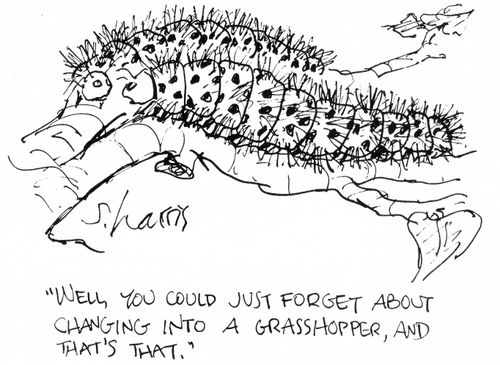 "Well, you could just forget about changing into a grasshopper, and that's that."