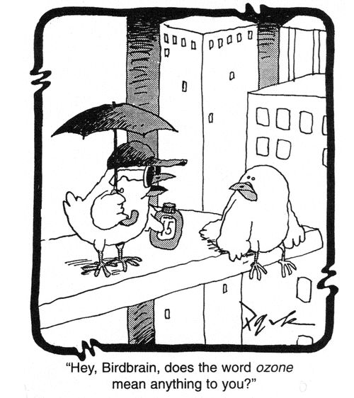 'Hey, Birdbrain, does the word ozone mean anything to you?'